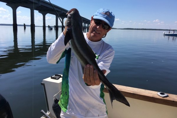 Best In Shore Fishing On Hilton Head