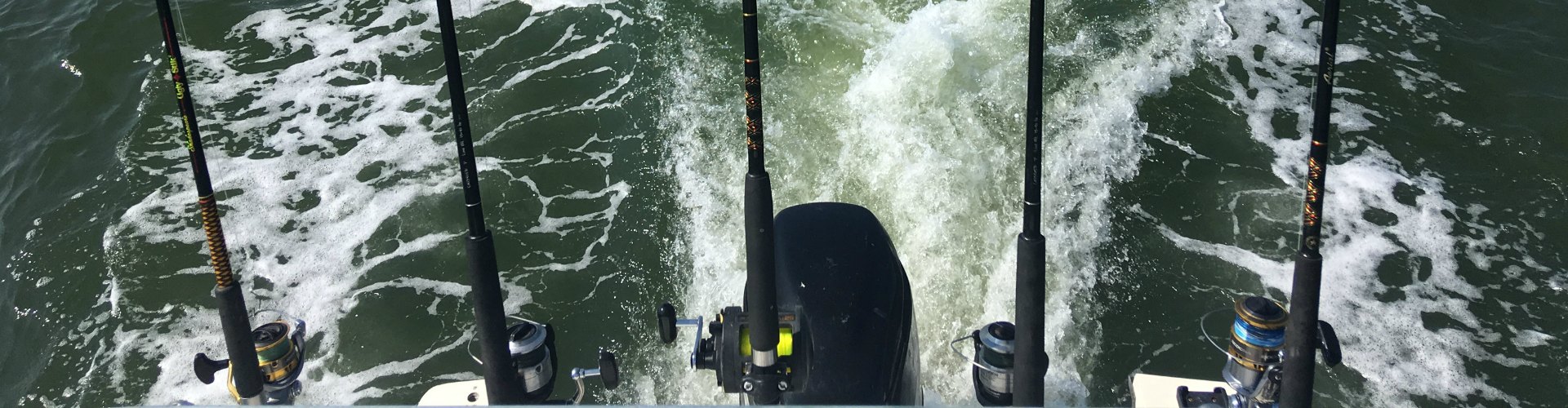 Reel Job Charter Fishing | Reel Job Charter Fishing