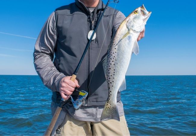 Hilton Head Inshore Saltwater Fishing Charters, Backwater Fishing & Guide  Services