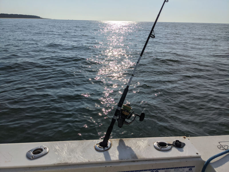 Fishing Seasons On Hilton Head Island: What Fish Is Biting Now