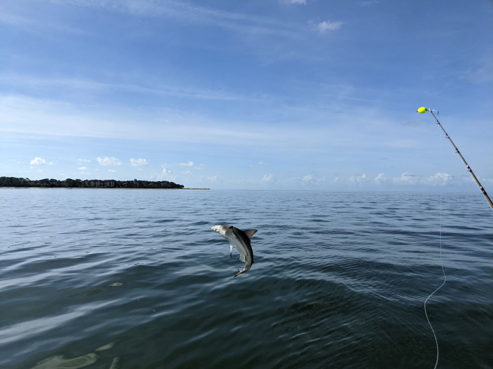 Offshore Fishing