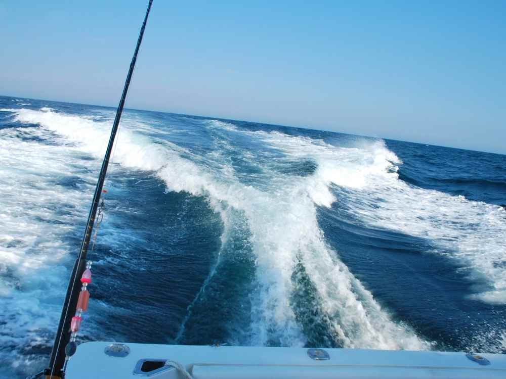 Deep Sea Fishing vs. Offshore Fishing: What's the Difference?